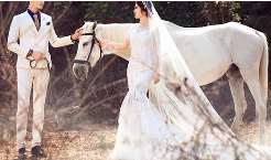 翻译错误的美丽意外